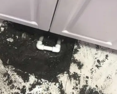 景东查漏水哪家好